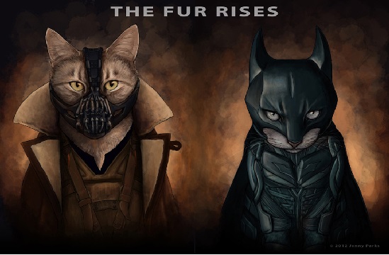 fur rises