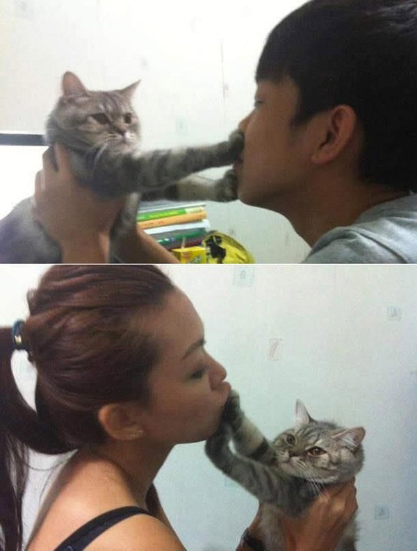 kissingcat