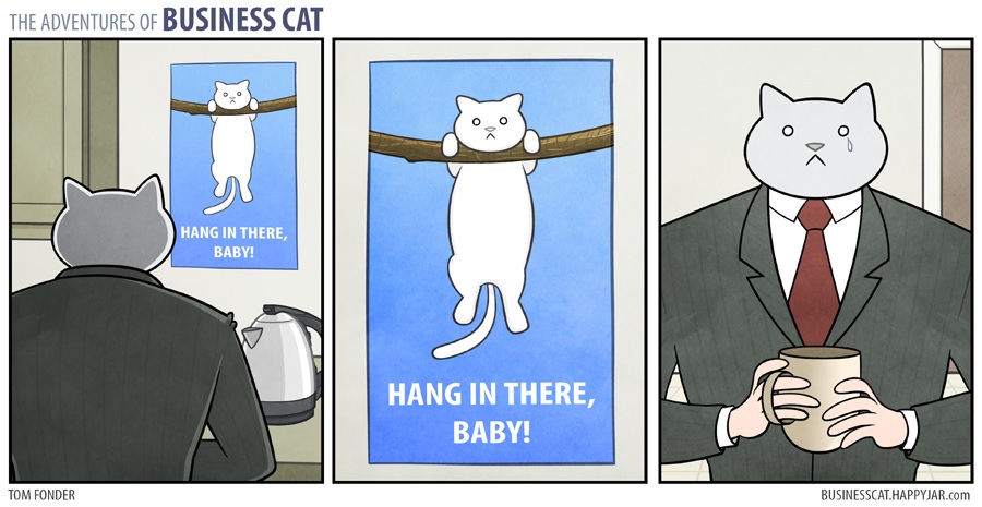 businesscat4