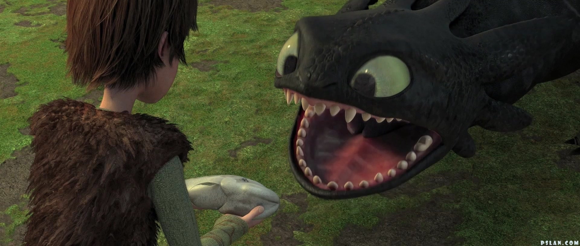 toothless3