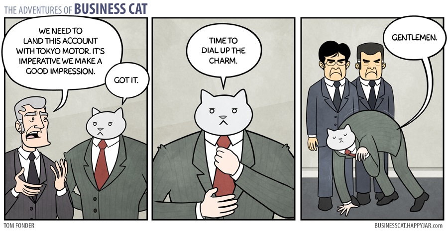 businesscat6