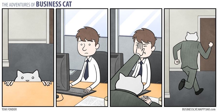 businesscat5