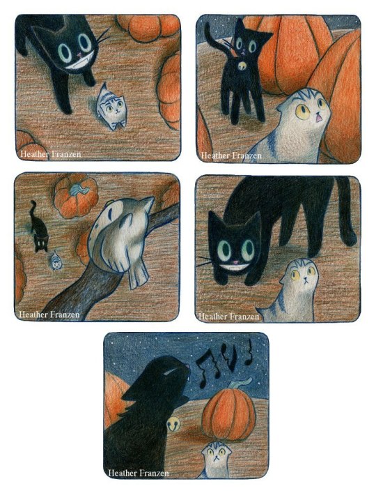 scared kitten meets black cat 6