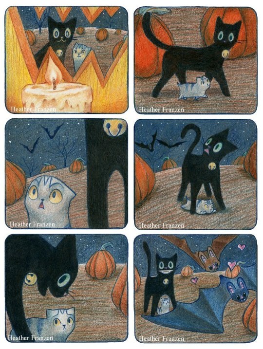 scared kitten meets black cat 5